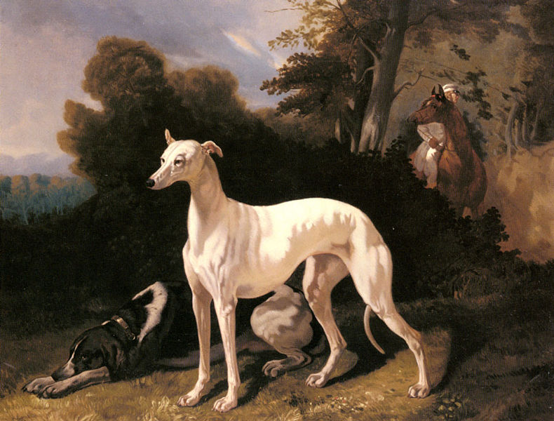 Alfred Dedreux A Greyhound In An Extensive Landscape